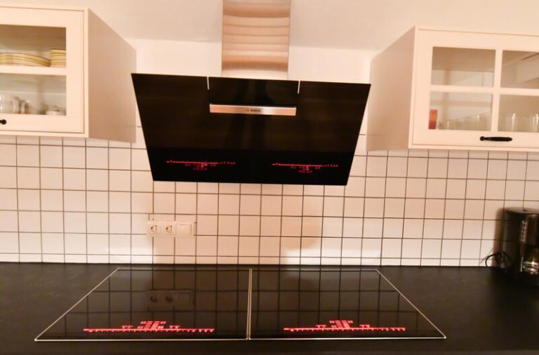 Ferienhaus Schwarzwald, Küche mit 8 Flexzonen - Kochplatten
