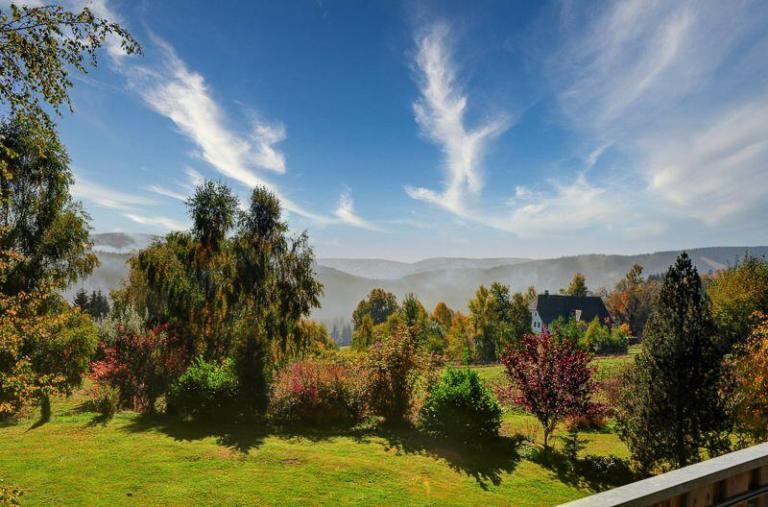 Ferienhaus Schwarzwald mit perfekter Aussicht