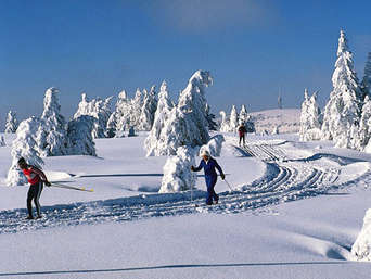 Loipen im Schwarzwald