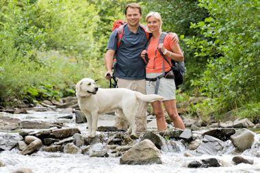 Wanderurlaub im Schwarzwald